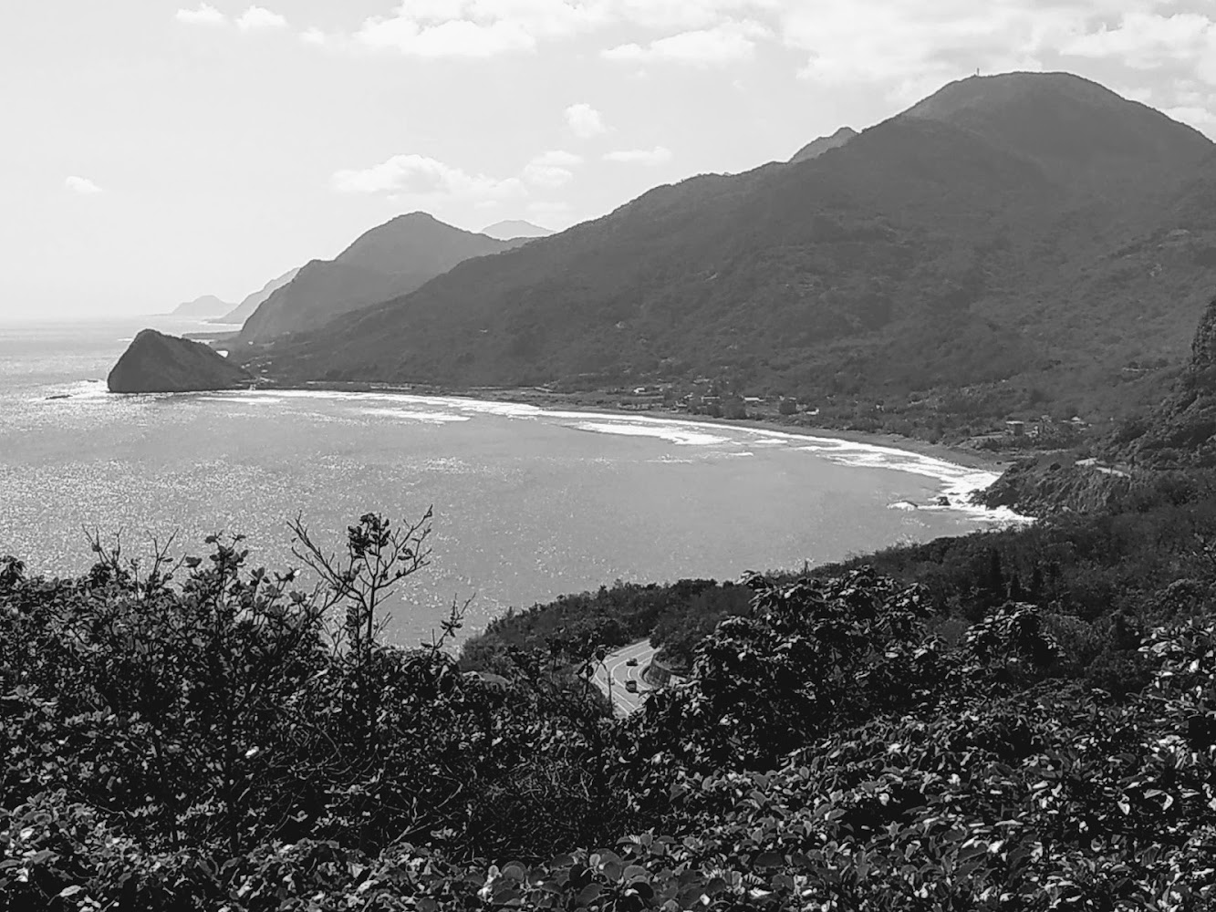 海灣灌木與海岸線全景