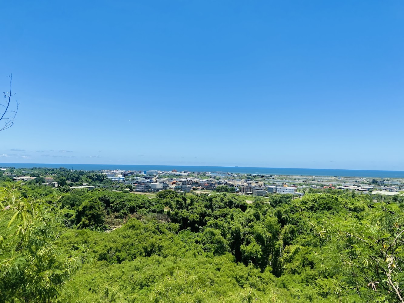 漯底山自然公園遠眺樹林城鎮與藍色大海