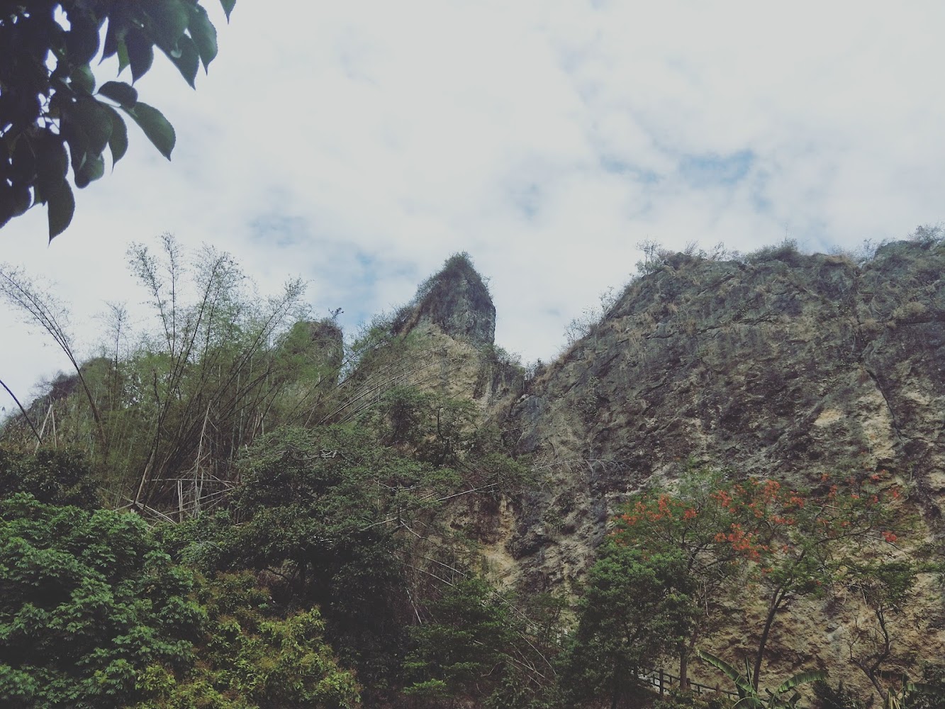 山崖岩石地形與前方綠意