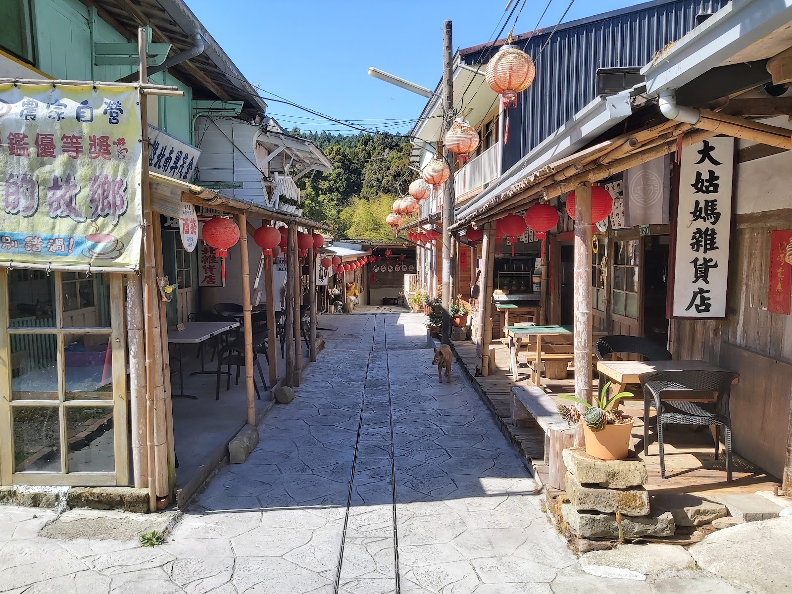 奮起湖老街古樸巷弄，紅燈籠串燈，大姑媽雜貨店古早招牌