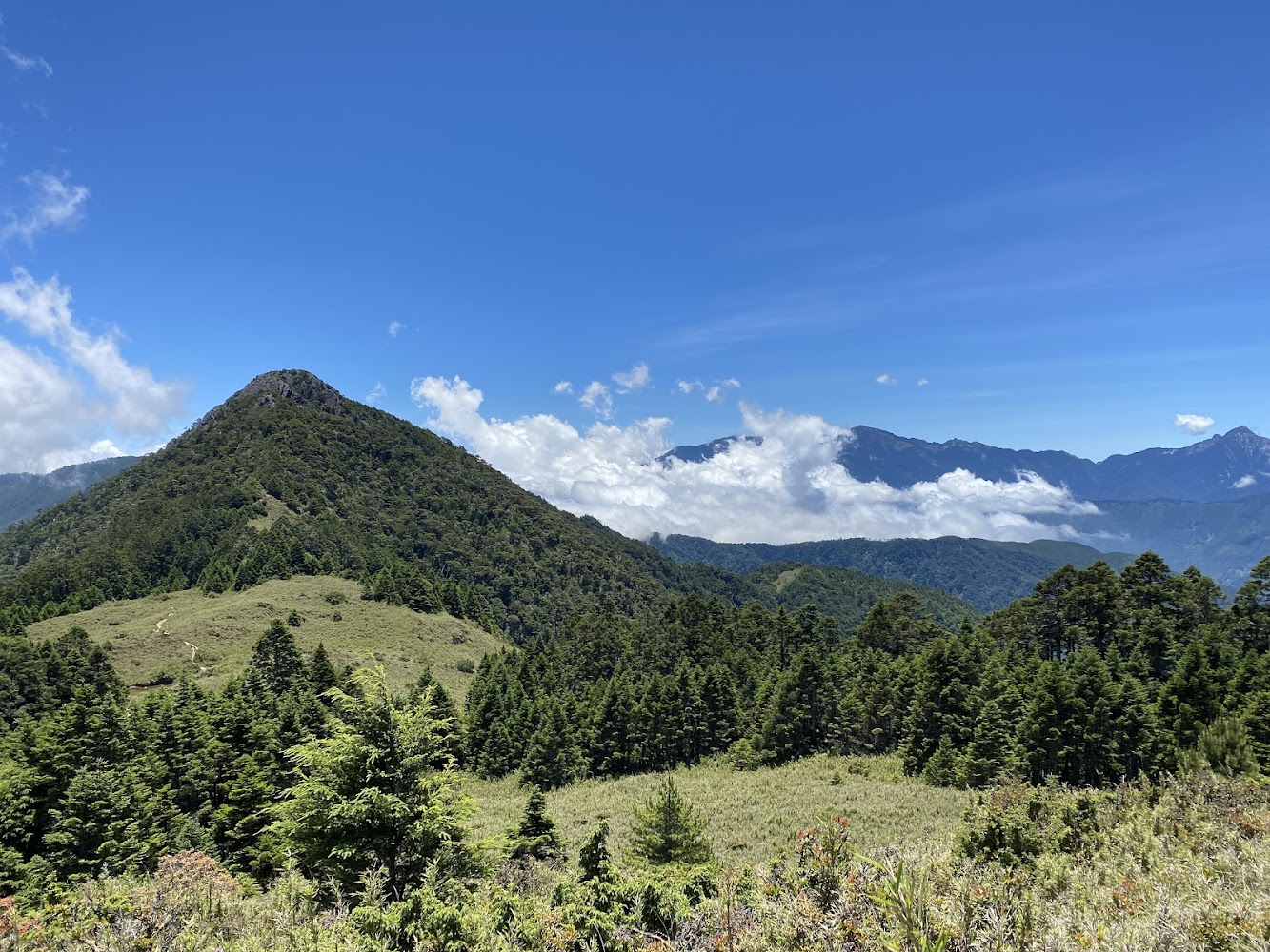 青翠山峰前有森林草地遠方有山脈雲海