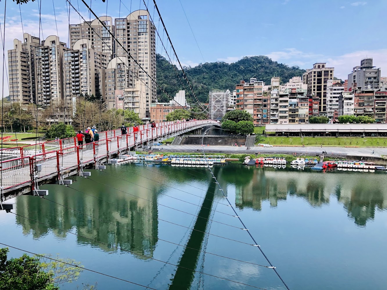 碧潭吊橋白天景觀與岸邊天鵝船