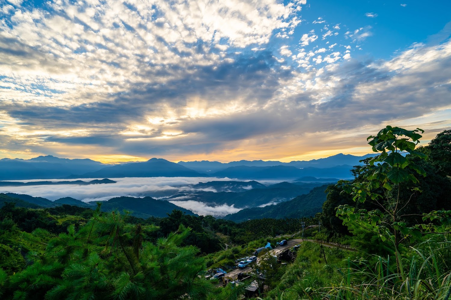 港寮枝179景觀農場山景雲海