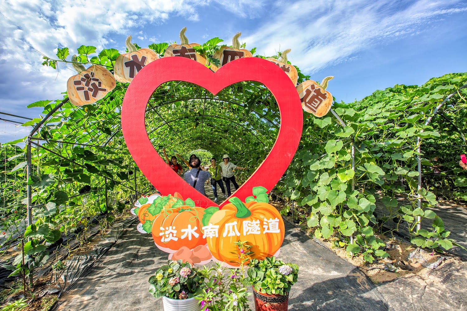 淡水南瓜隧道入口有紅色愛心裝飾與遊客拍照