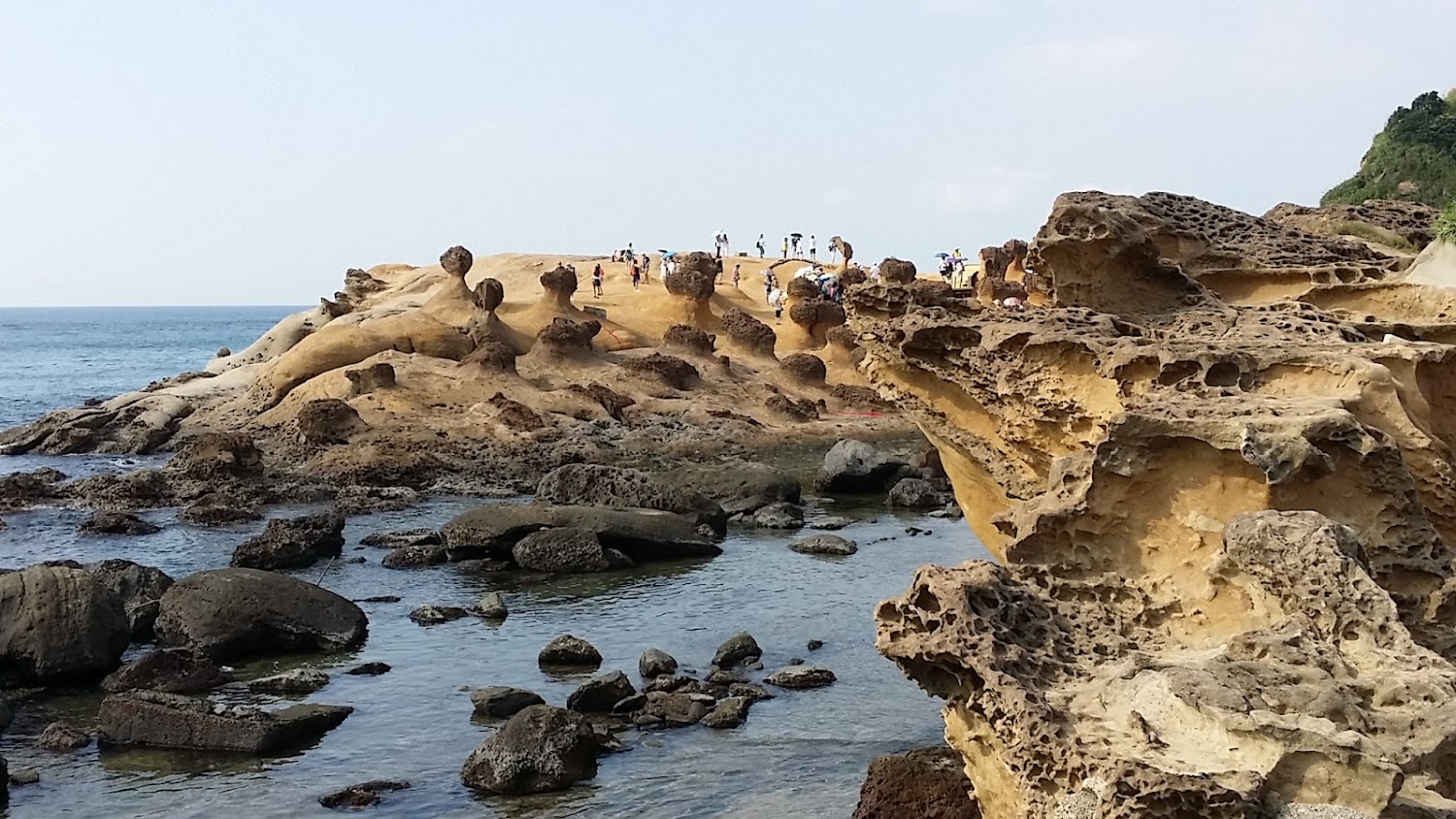 海邊蜂巢狀與蕈狀岩石地形與遊客