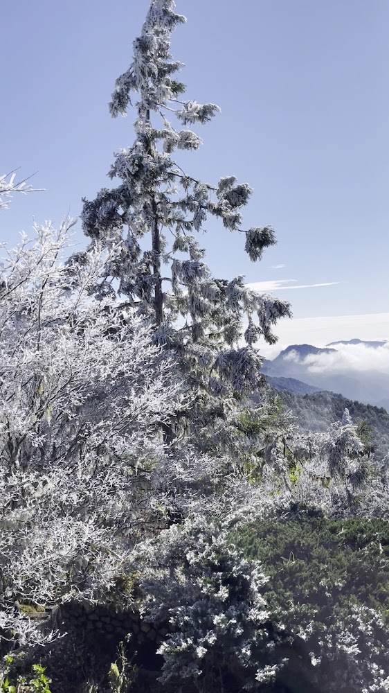 冬季結霜山林與遠處山景