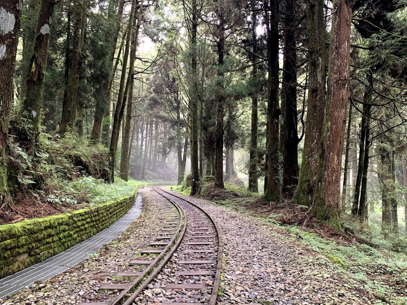水山巨木步道旁的森林鐵道