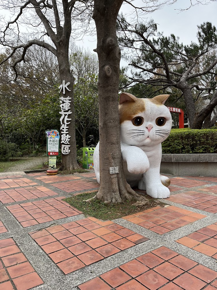 小叮噹科學主題樂園可愛貓咪裝置與生態區