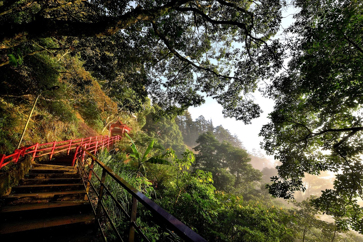 山林階梯步道與涼亭