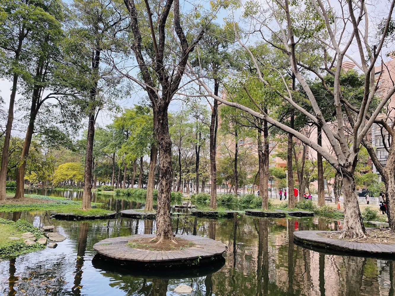 大東濕地公園池塘與圓形木平台