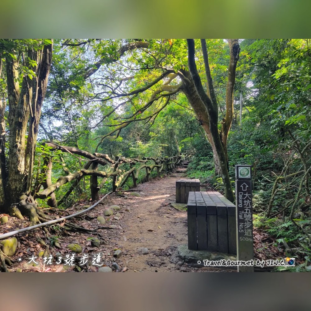 這張圖片展示一條位於森林中的步道，兩旁環繞著茂密的樹木和樹根，有木頭圍欄及座椅，也有指示牌標示路線與方向，環境自然清幽，適合健行與休閒。