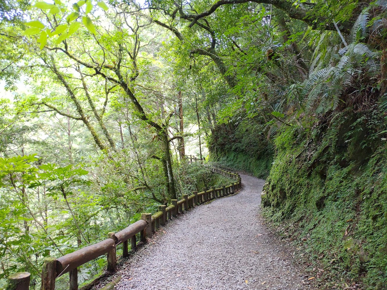 拉拉山森林步道