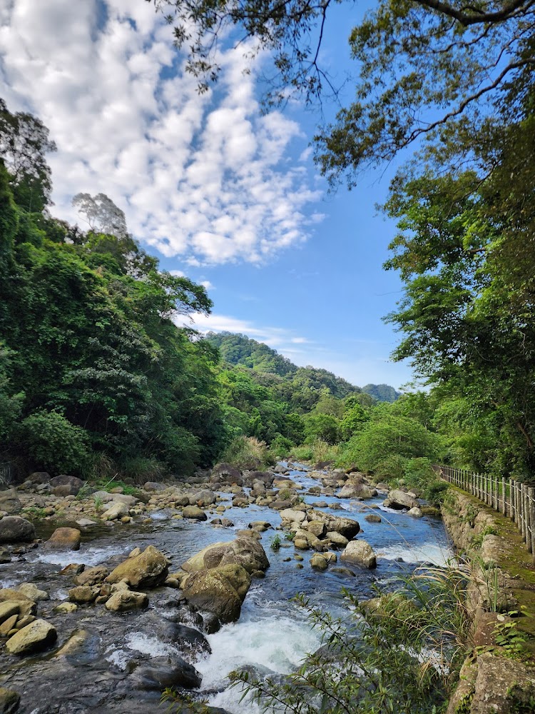 山間溪流河水清澈,兩旁是翠綠樹林與山坡。