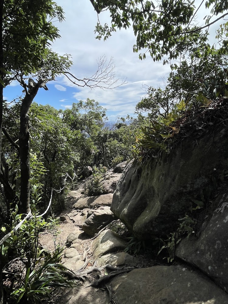 金面山步道森林岩石山徑