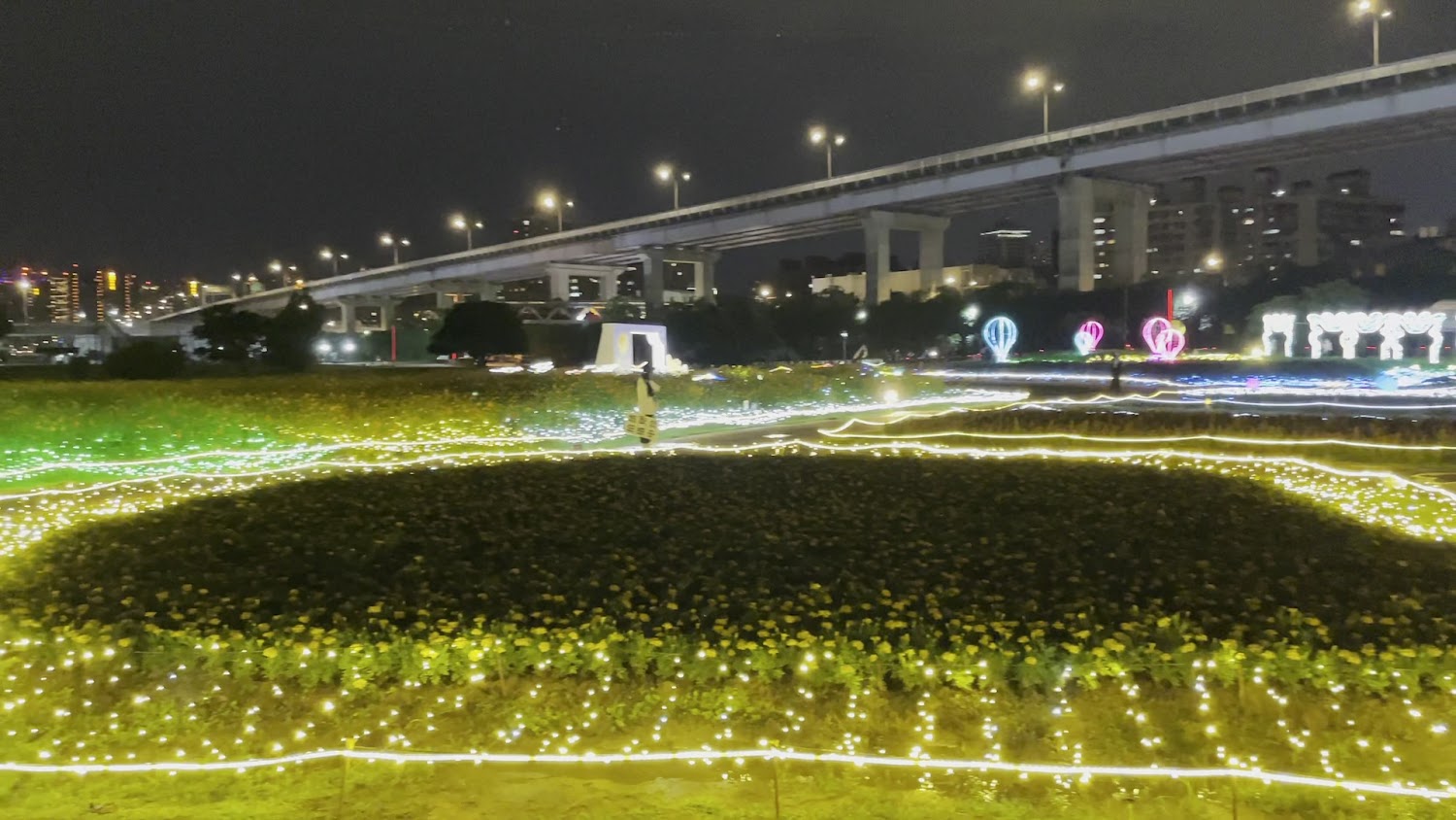 這張圖片主要展示夜晚的花海燈飾，地面鋪滿黃花，並用各色燈帶裝飾。背景有高架橋和城市燈光，營造浪漫氛圍。