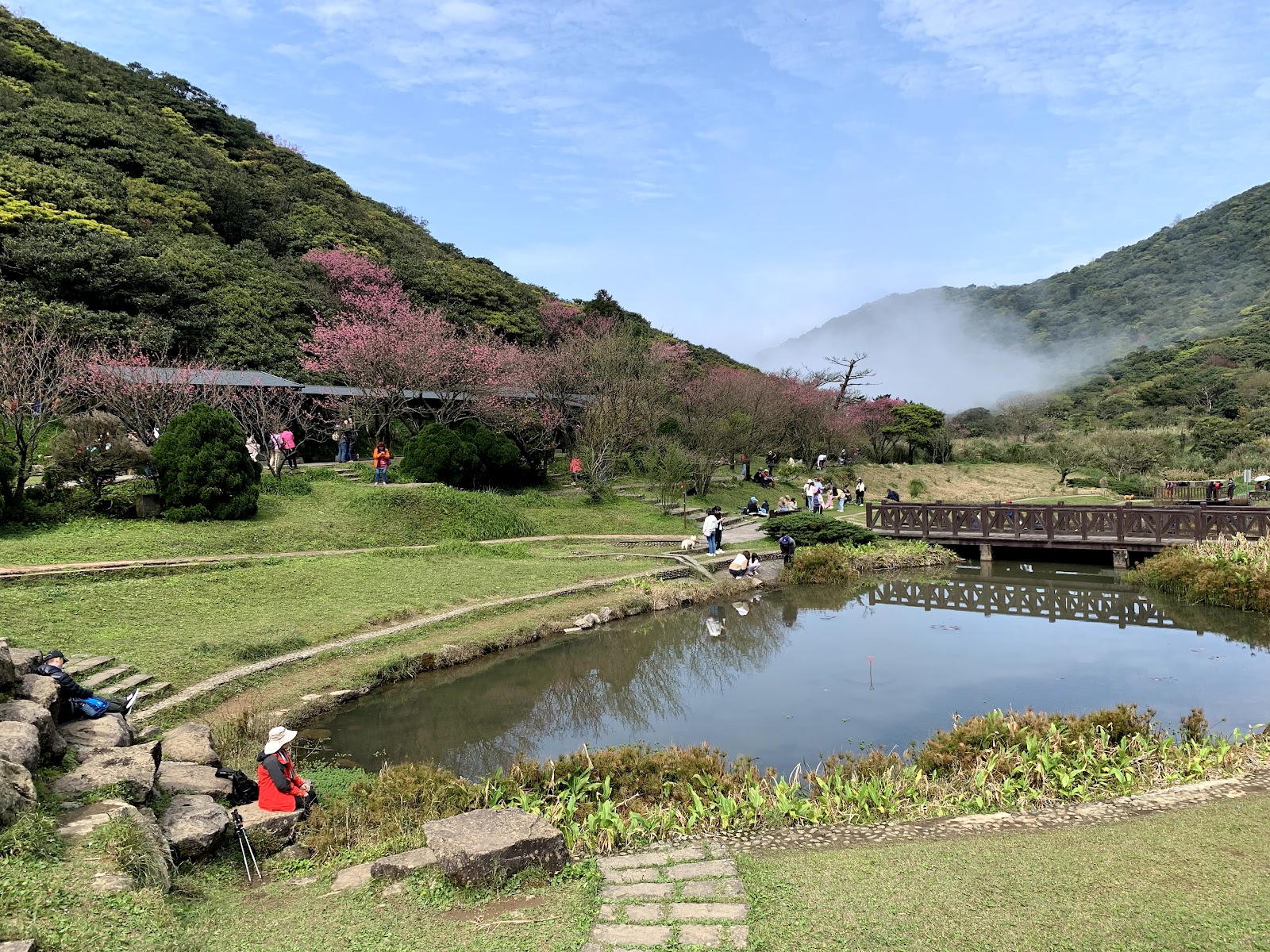 竹子湖水塘倒影山景木橋，陽明山