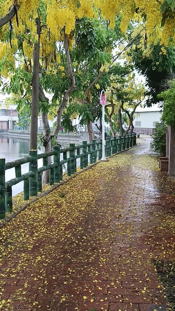中林湖河岸步道與黃花步道景色