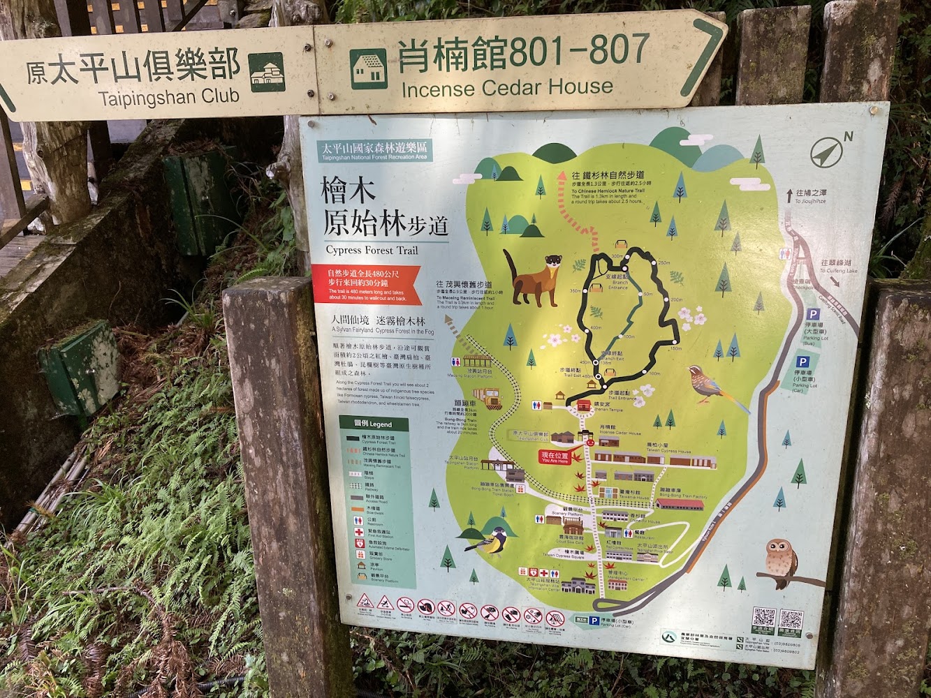 太平山檜木原始林步道導覽地圖看板