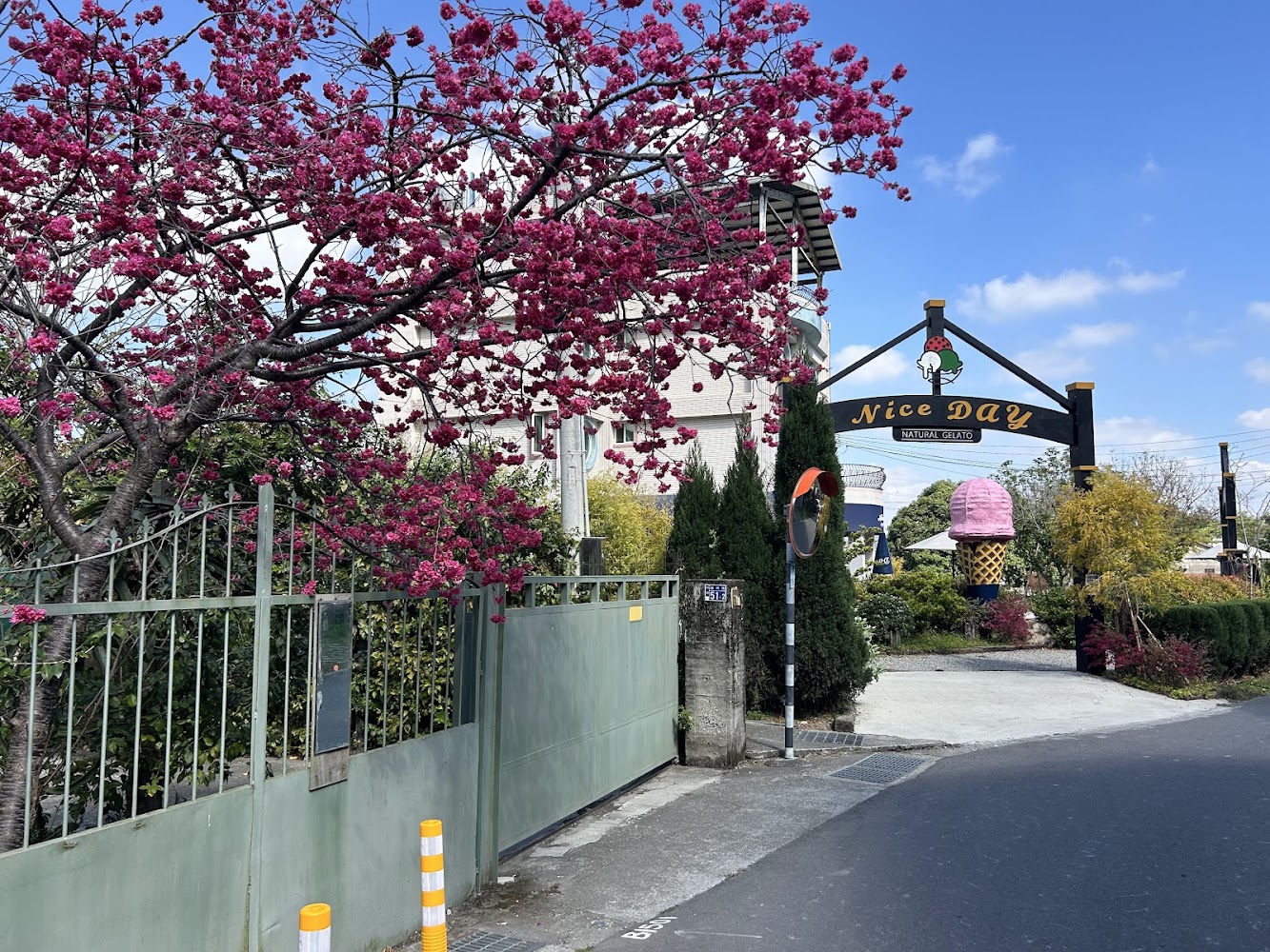 櫻花樹旁的冰淇淋店招牌與庭院