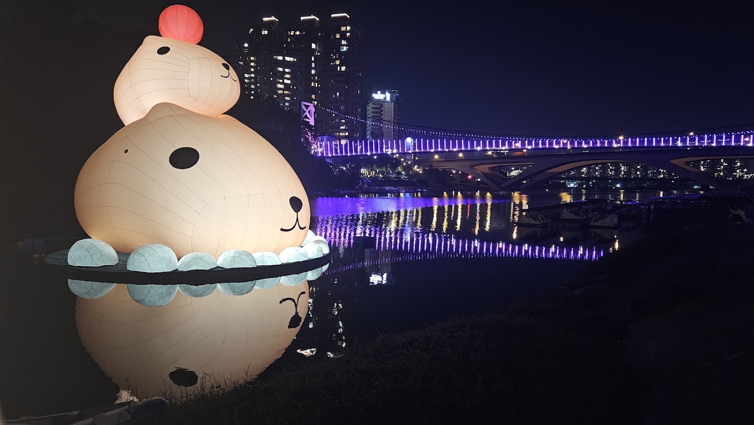 新店碧潭夜間大型裝置與橋景