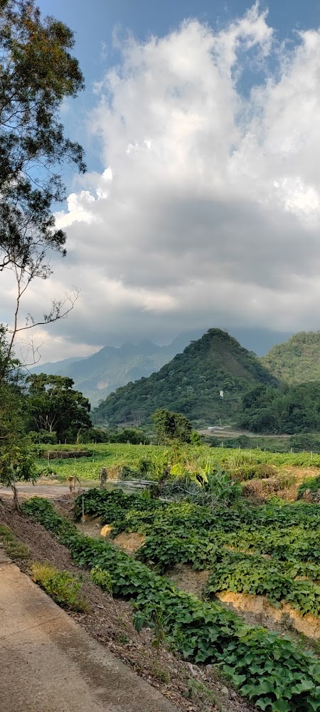 綠色農田樹木與遠處層疊山丘的鄉村景色