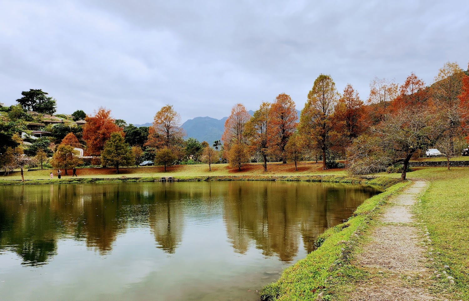 蜊埤湖湖畔步道與秋色落羽松