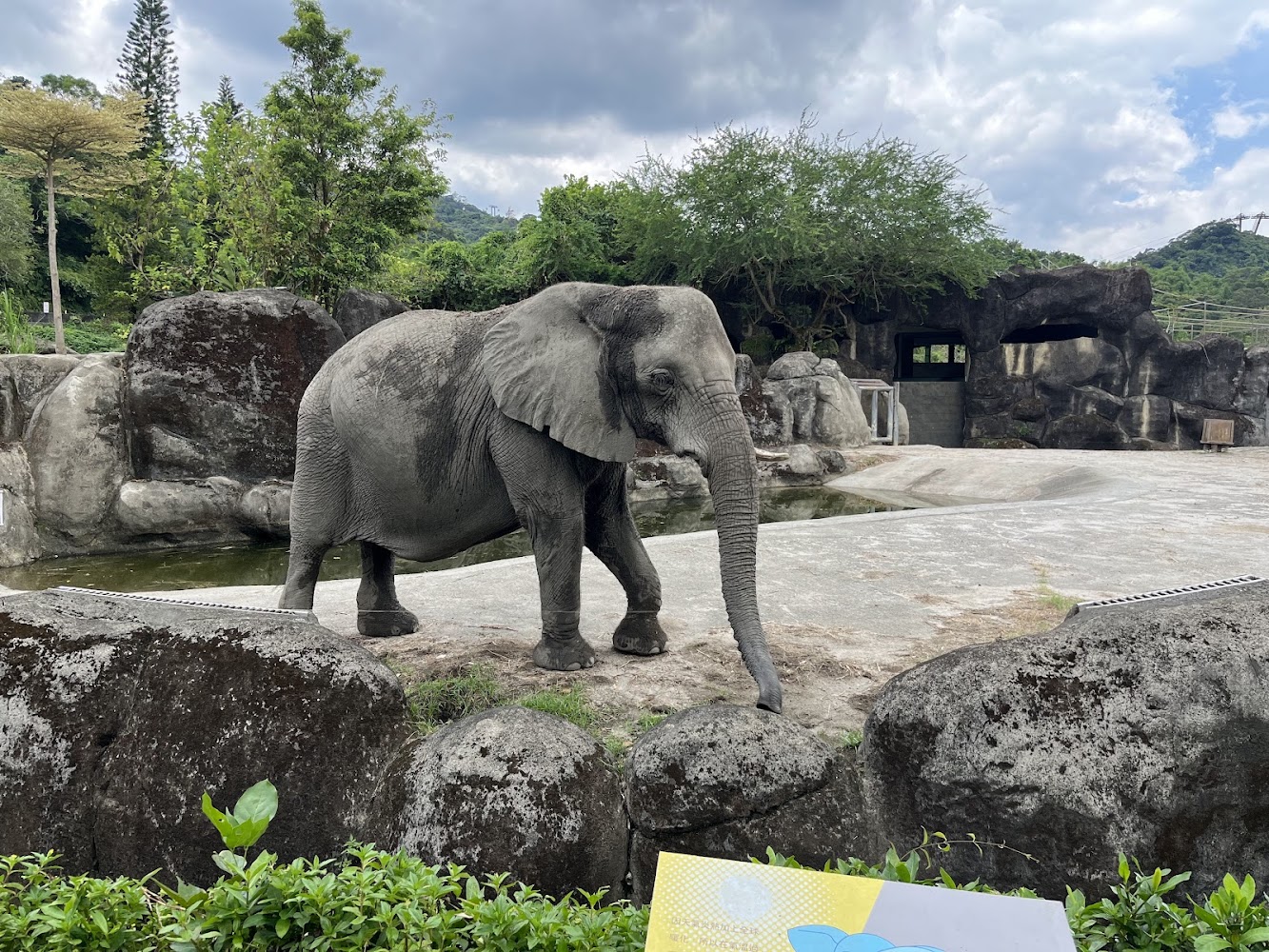 臺北市立動物園中的大象戶外活動場