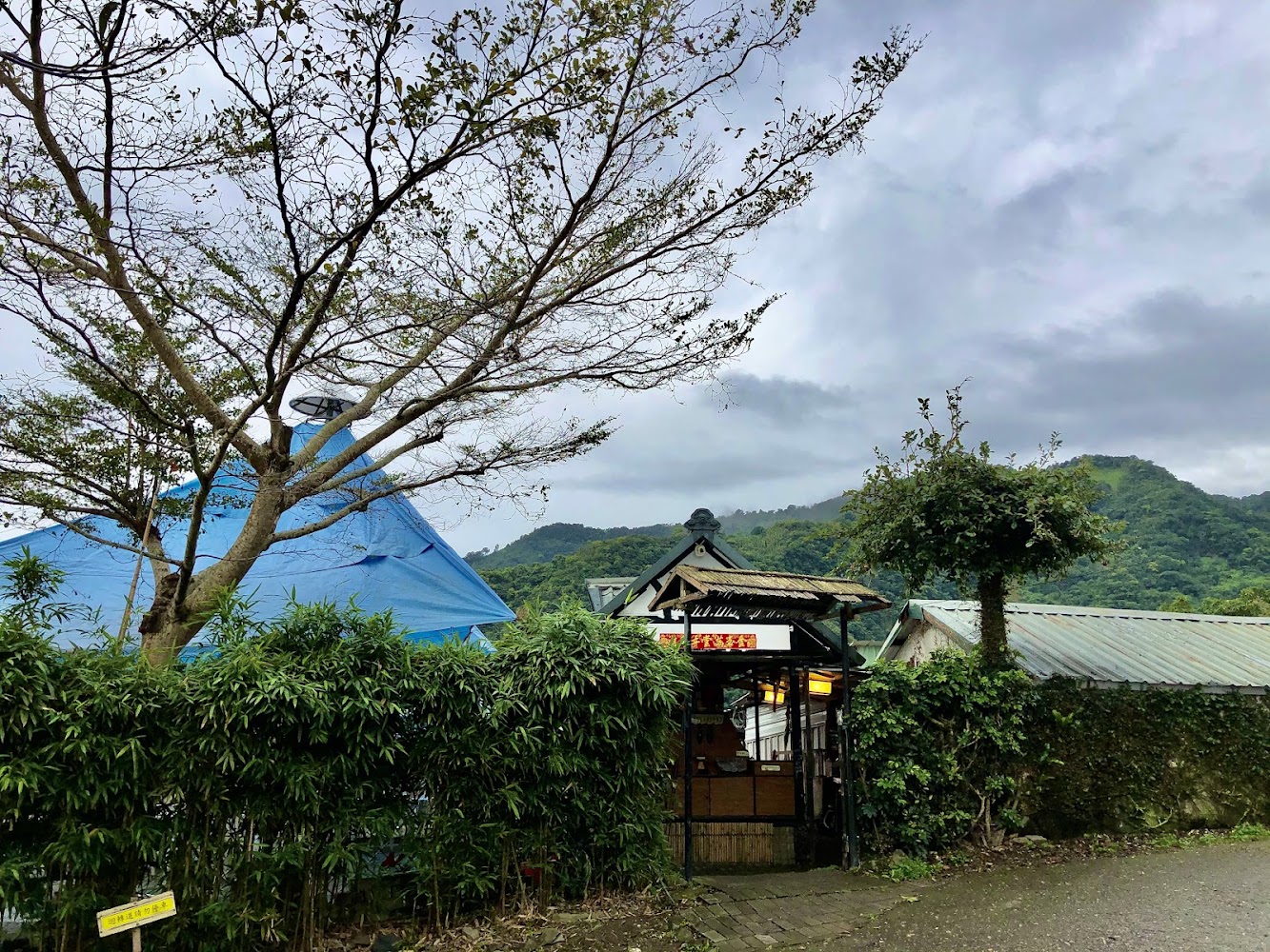 山林中的小屋與竹林景色