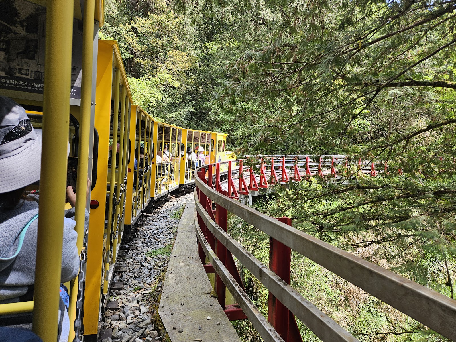 太平山蹦蹦車穿越山林 太平山一日遊攻略