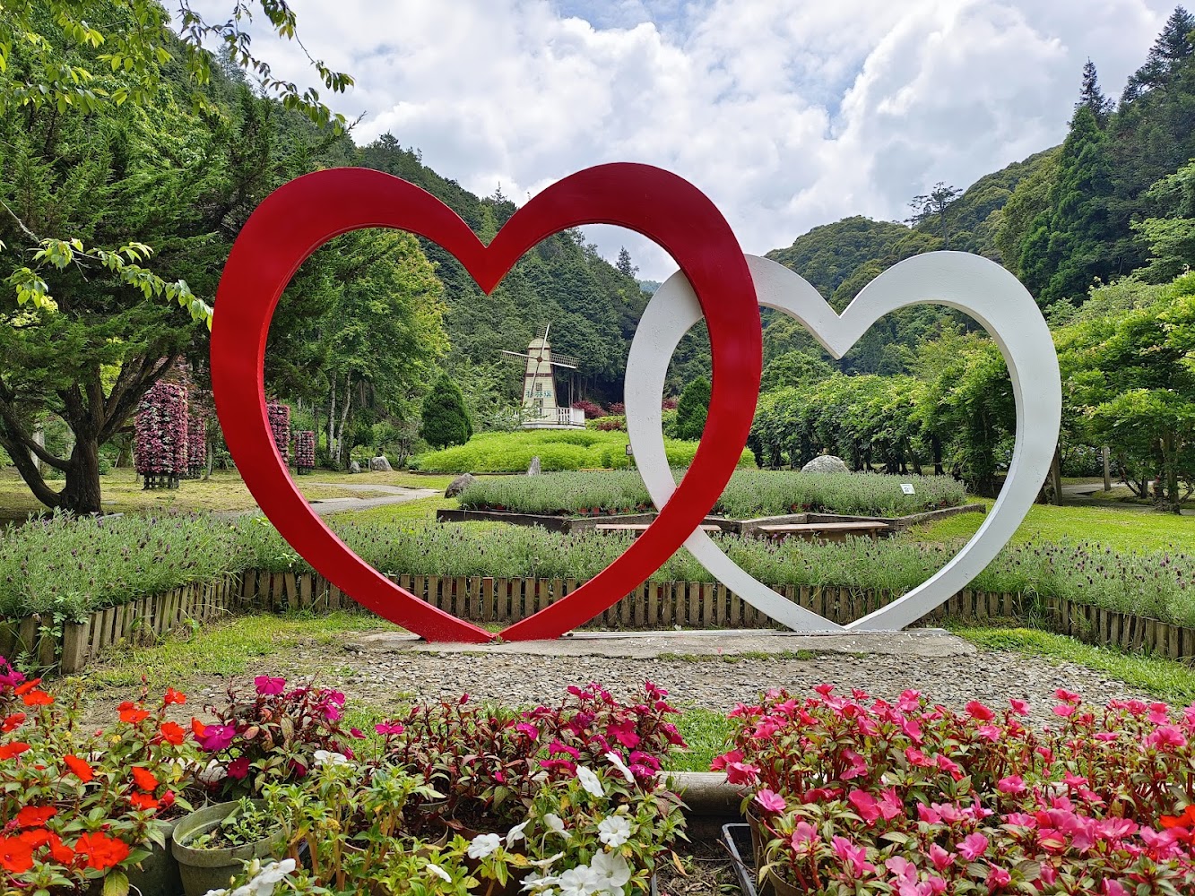 杉林溪花卉中心愛心造景與花園景觀