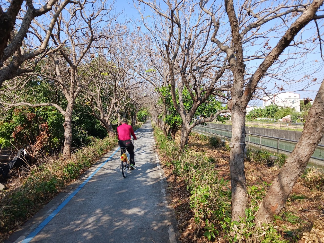嘉南大圳南幹線自行車道