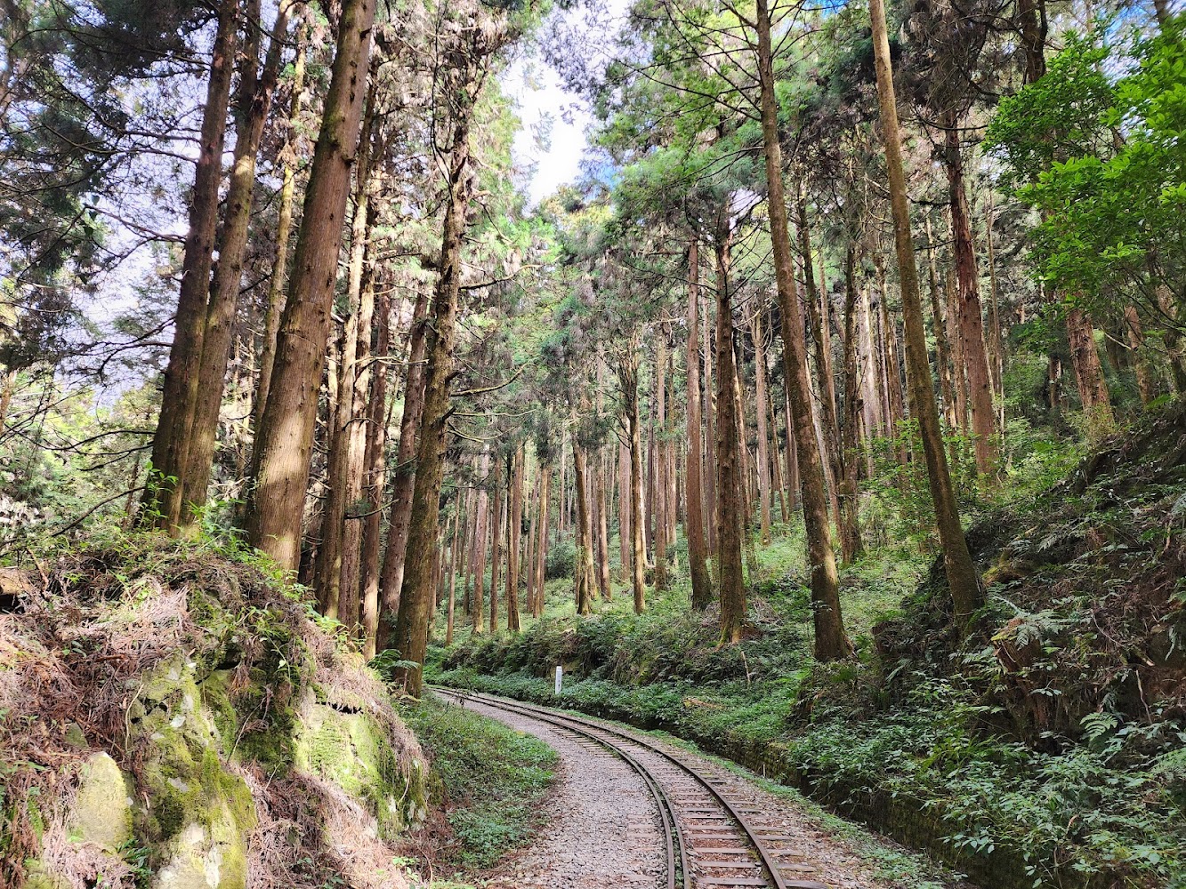 水山療癒步道森林鐵道彎道景觀