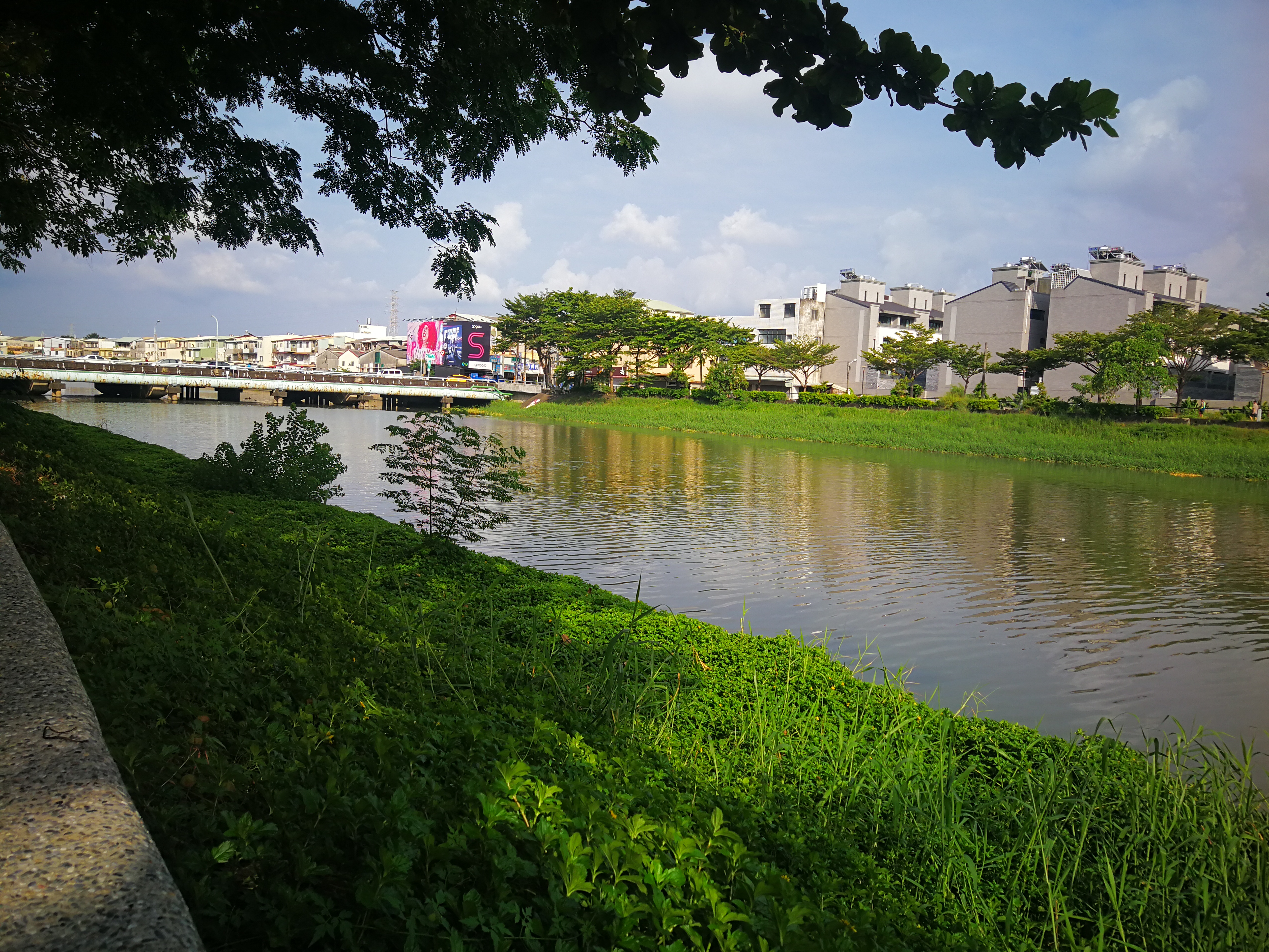 河流草地與現代建築橋樑