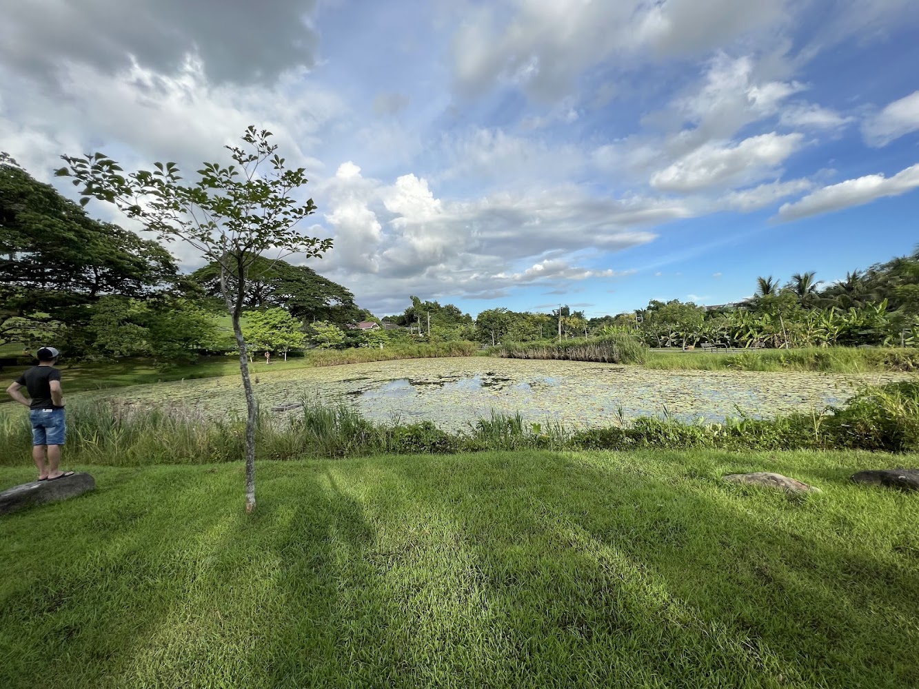 阿公店森林公園草地與池塘
