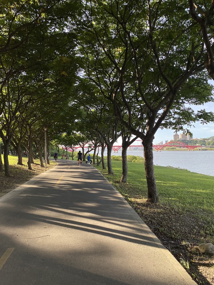 淡水河岸自行車道樹蔭路段與遠方橋景