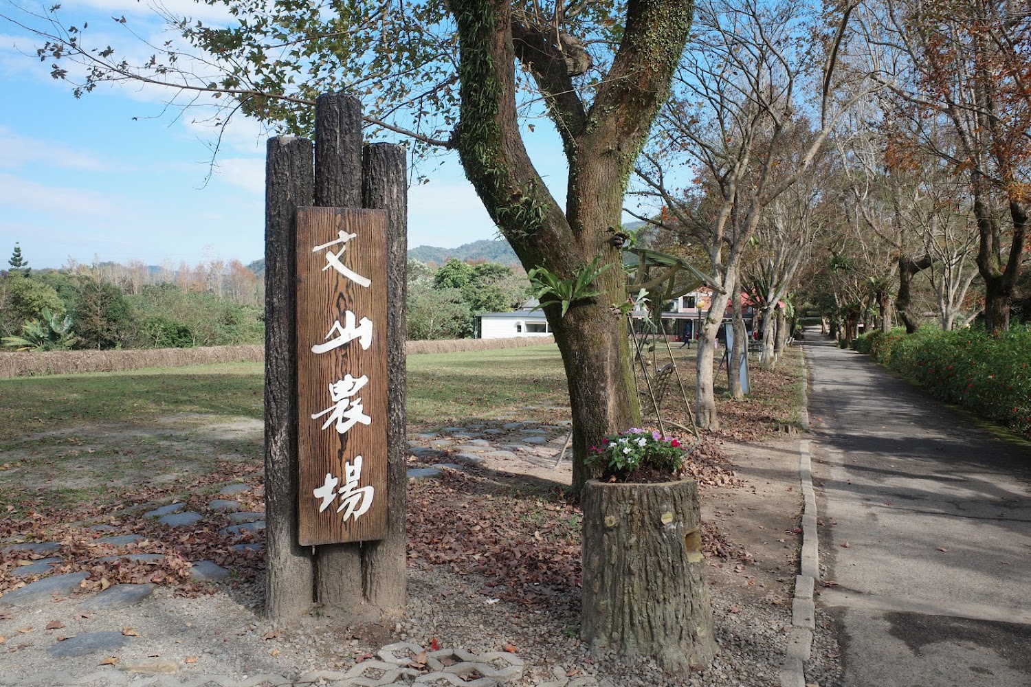 文山農場入口木質招牌與田園景觀