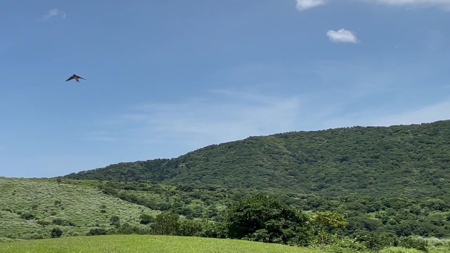 擎天崗公車站周邊藍天白雲與草原
