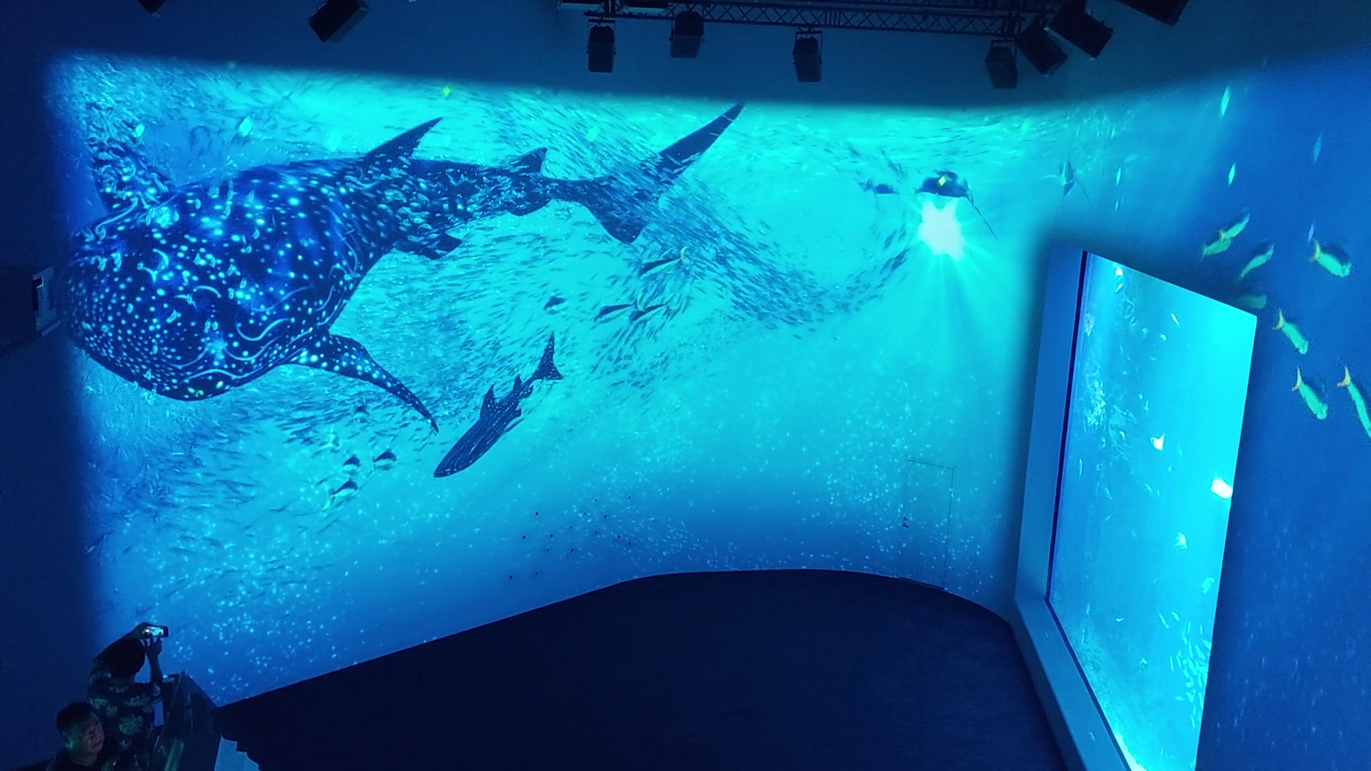 海洋投影互動空間