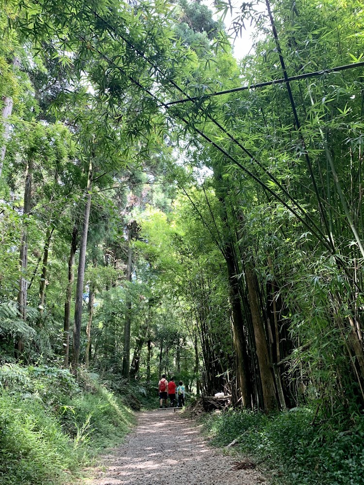 猴崁湖田國小步道竹林小徑與健行旅人