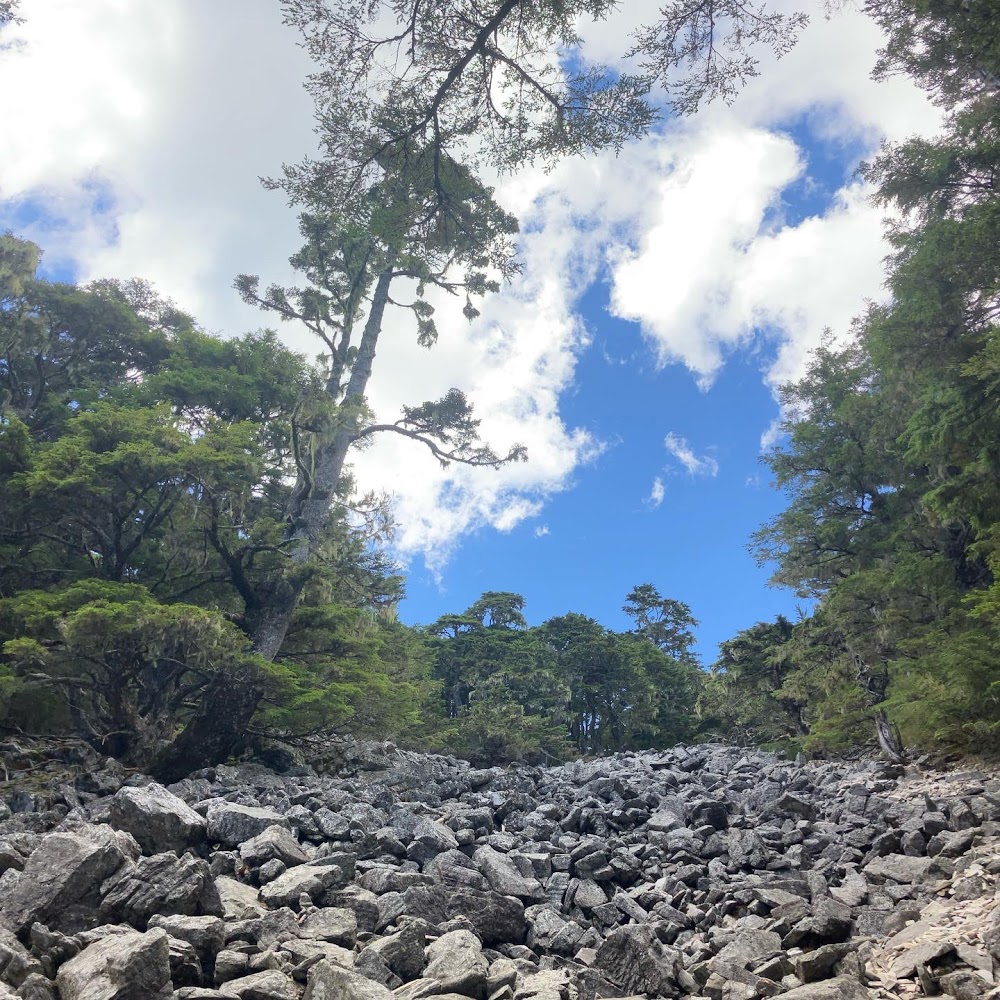 佈滿灰色岩石的山坡兩側有綠色樹林