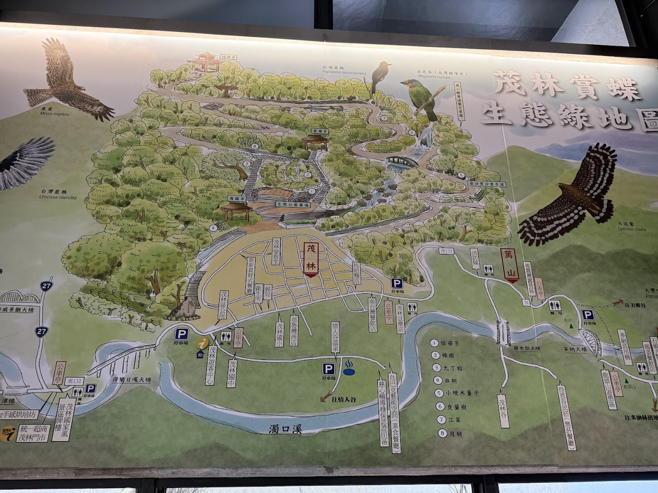 茂林賞蝶生態綠地導覽地圖