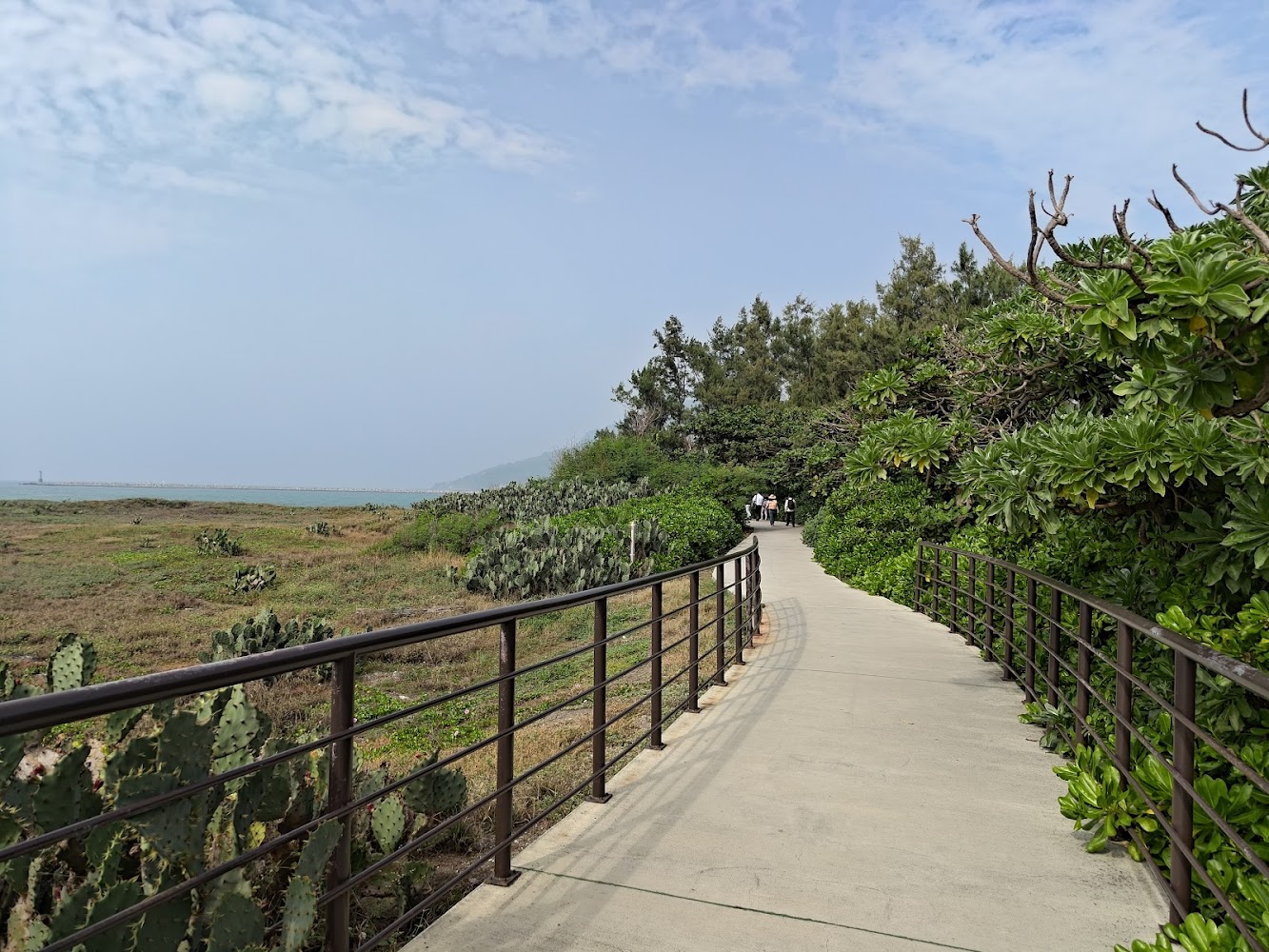 旗後山濱海步道與沿海綠地仙人掌景色