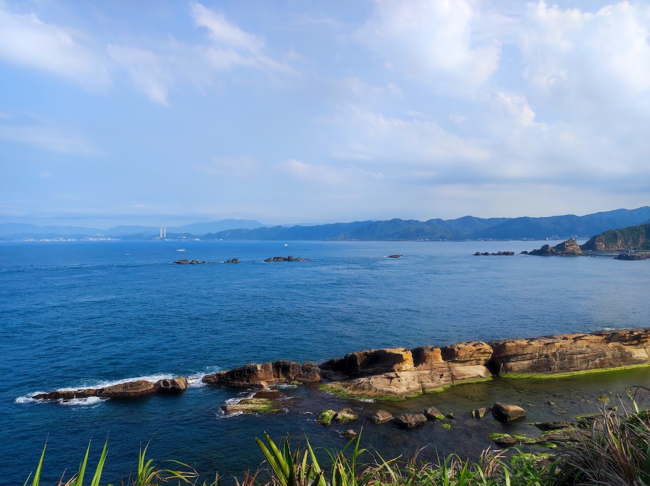 廣闊海景與前方特殊岩石海藻景觀