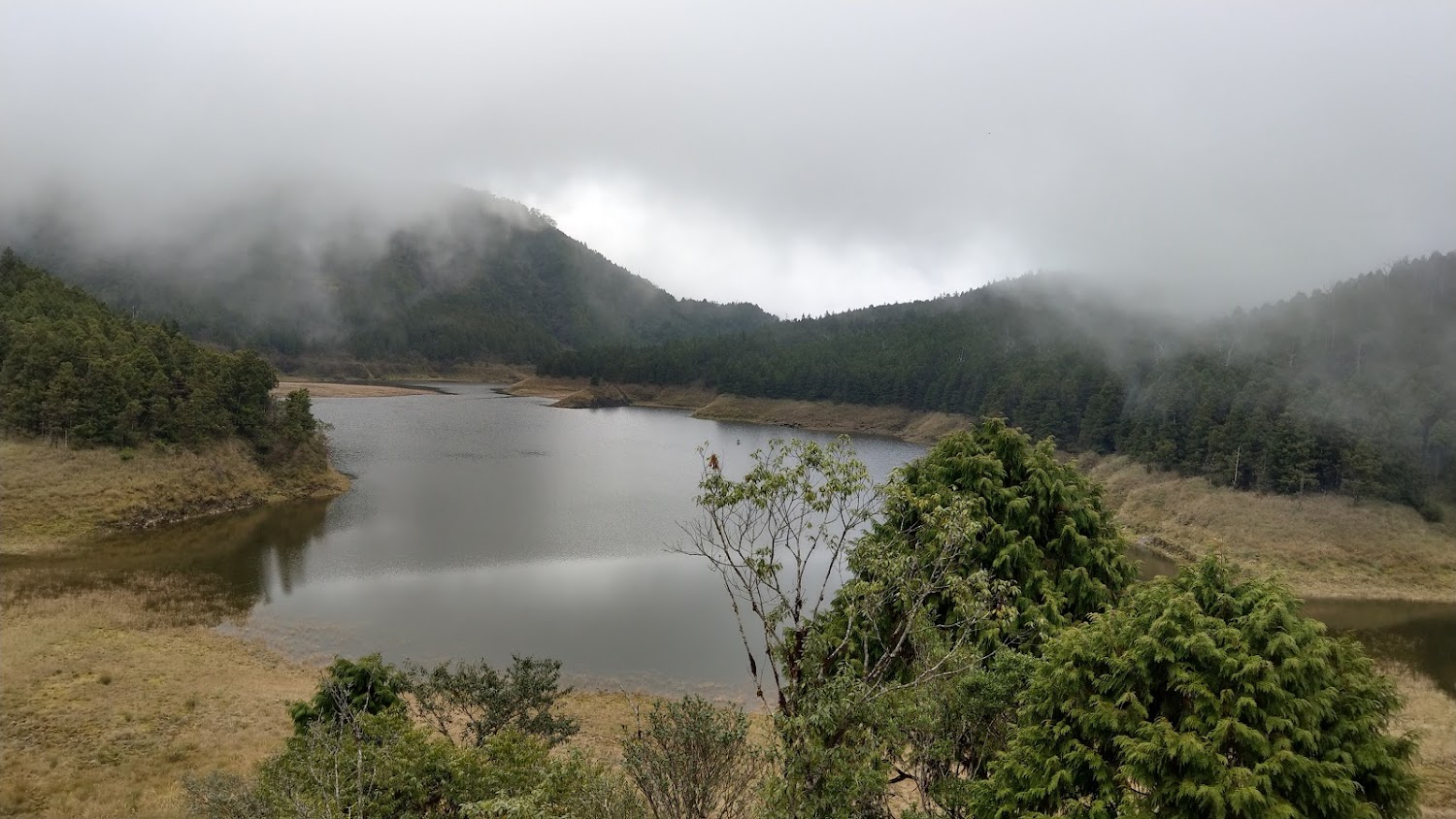 森林環繞的湖泊與山霧景觀