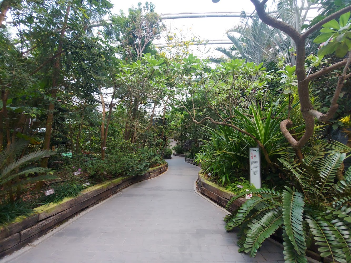 臺北典藏植物園室內步道與茂密植栽