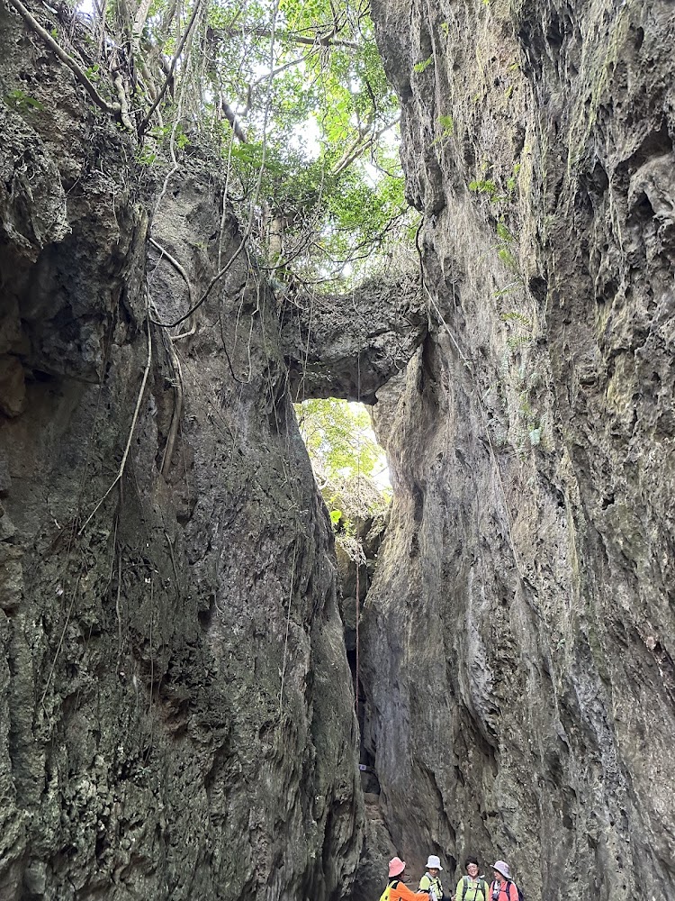峽谷地形與天然石橋