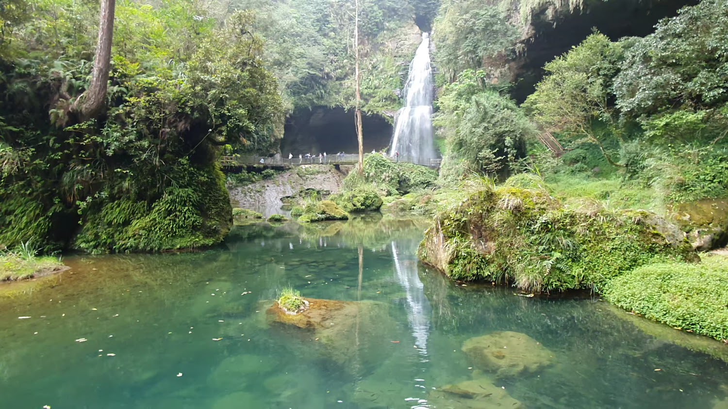 翠綠池塘與瀑布森林景觀