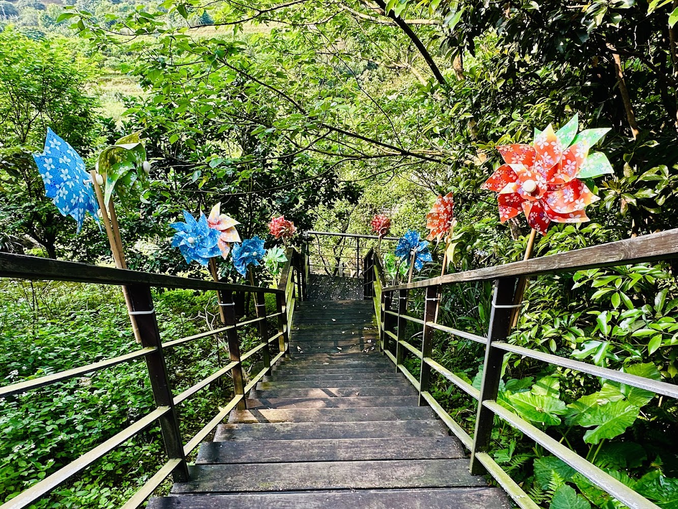 木製步道階梯與彩色風車