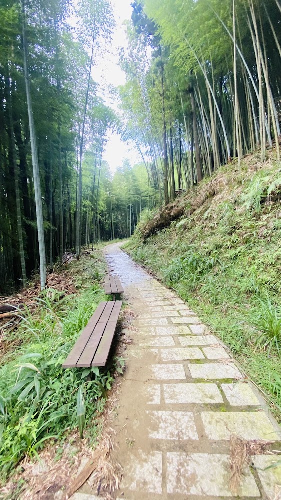 木馬古道石板步道與長椅