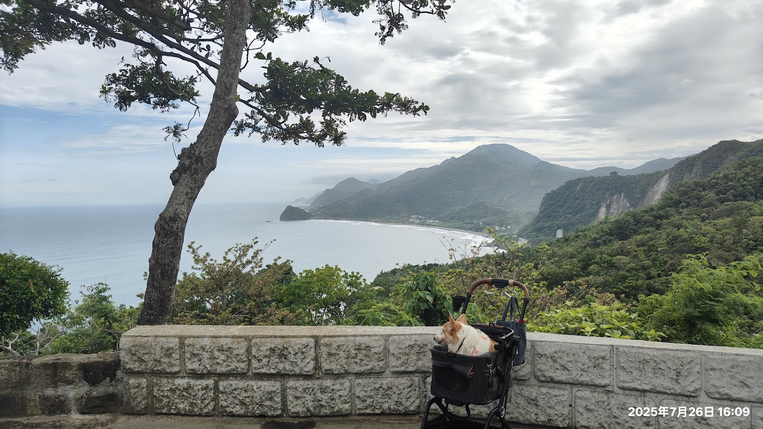 小狗推車與海岸山景